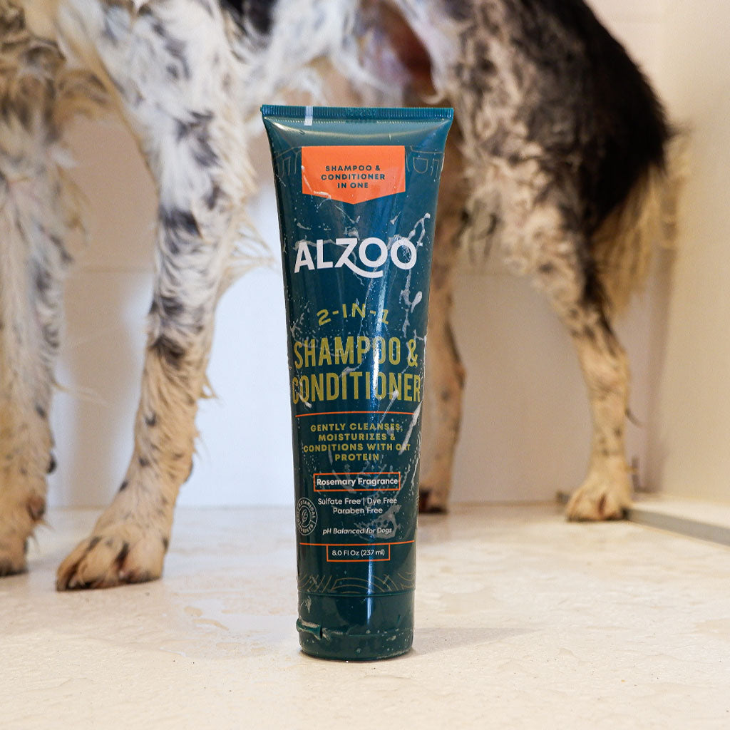 plant-based shampoo & conditioner 2-in-1, 8oz