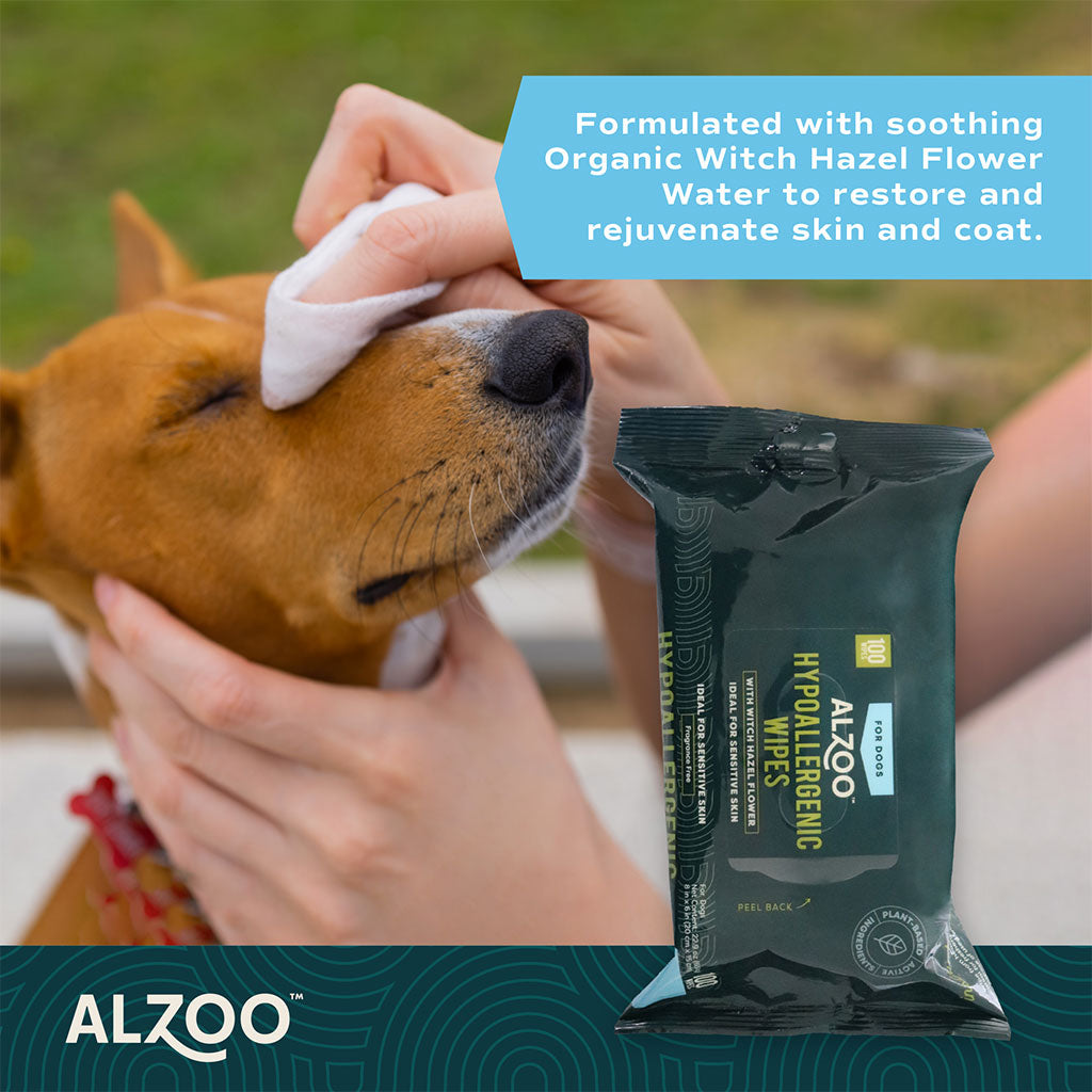 plant-based hypoallergenic wipes - 100ct