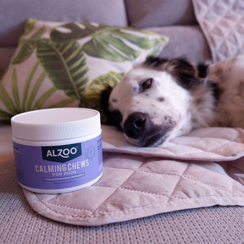 plant-based calming soft chews, 90ct