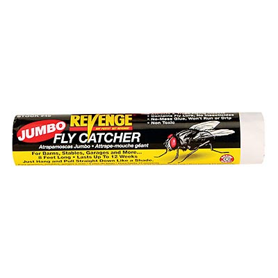 jumbo fly catcher