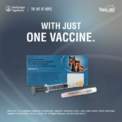 Equi-Jec 6, 1 mL