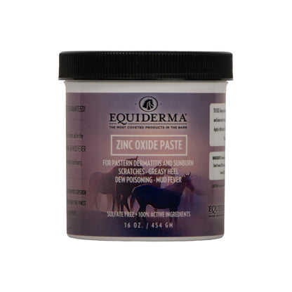 Equiderma Zinc Oxide Paste, 16oz