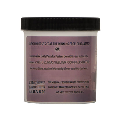 Equiderma Zinc Oxide Paste, 16oz