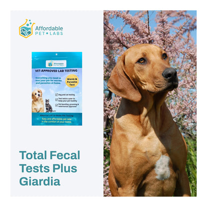 Affordable Pet Labs Total Fecal Tests Plus Giardia For Dogs and Cats Easy Home Kit