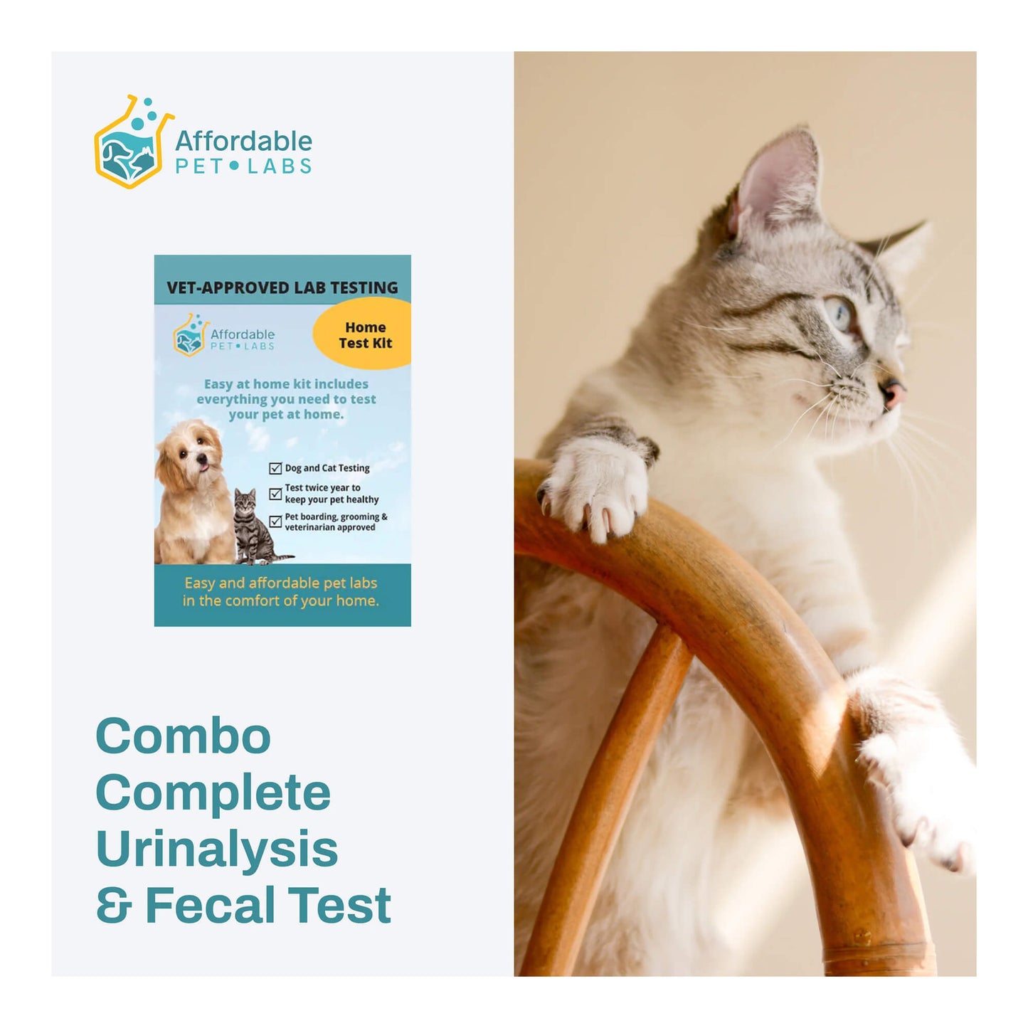 affordable pet labs combo complete urinalysis & fecal test for cats easy home kit