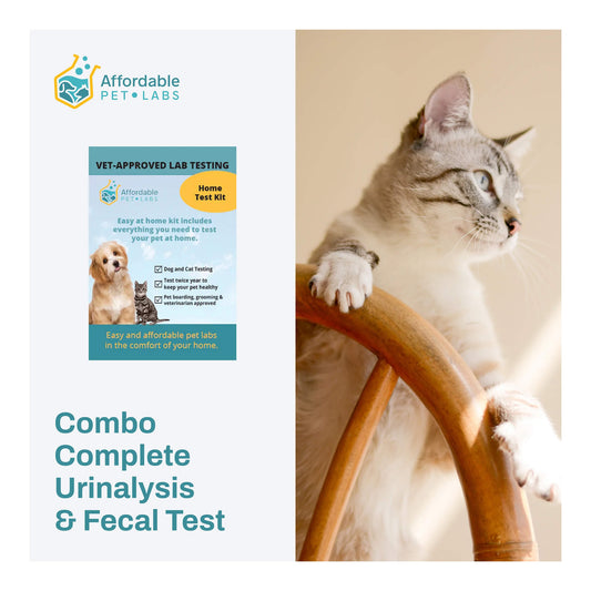 Affordable Pet Labs Combo Complete Urinalysis & Fecal Test For Cats Easy Home Kit