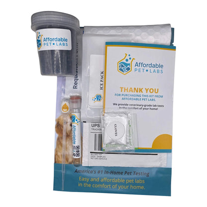Affordable Pet Labs Combo Complete Urinalysis & Fecal Test For Cats Easy Home Kit