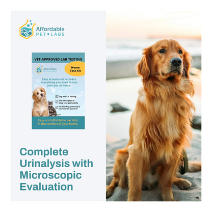 Affordable Pet Labs Complete Urinalysis with Microscopic Evaluation For Dogs Easy Home Kit