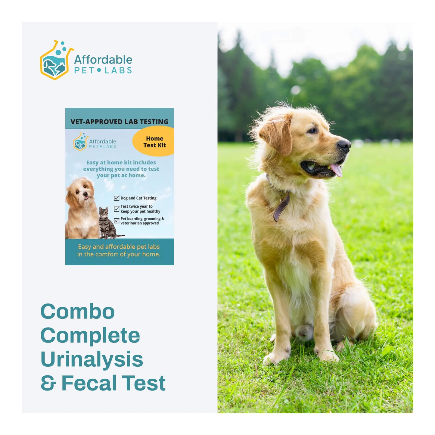 affordable pet labs combo complete urinalysis & fecal test for dogs easy home kit