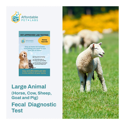 Affordable Pet Labs Large Animal Fecal ( Horse, Cow, Sheep, Goat and Pig) Diagnostic Test Easy Home Kit