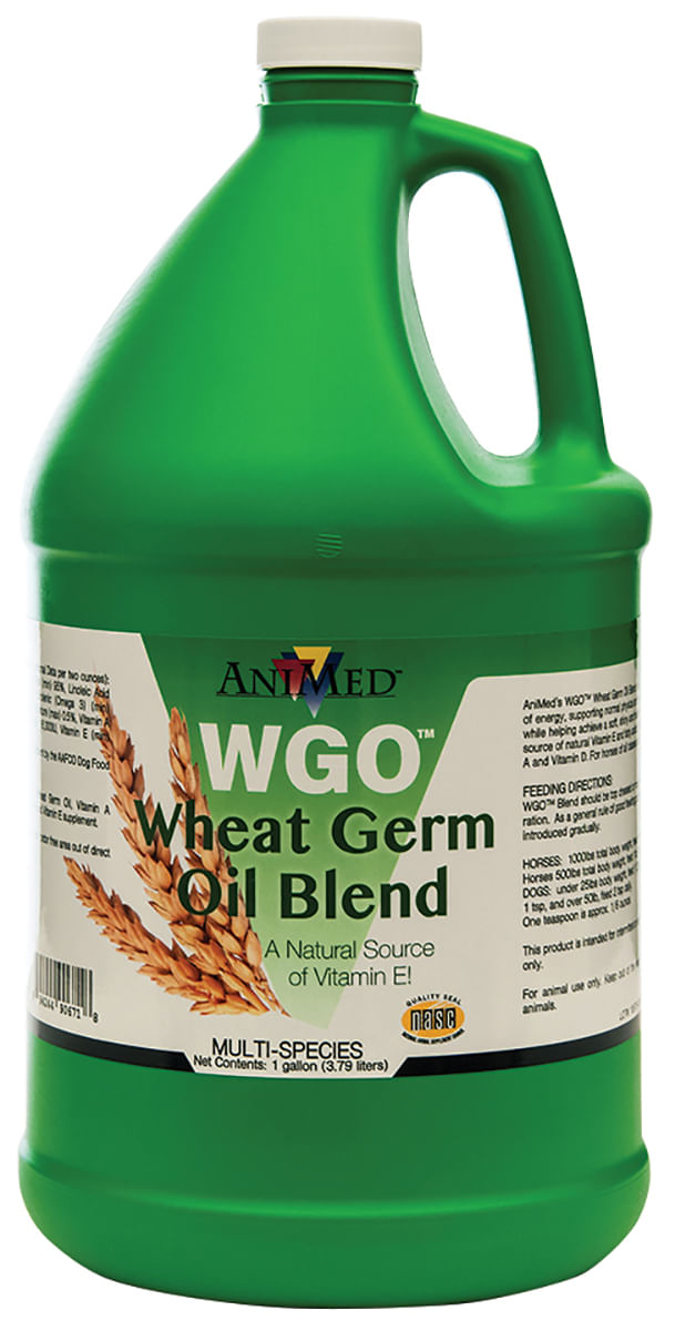 wgo wheat germ oil blend, gallon