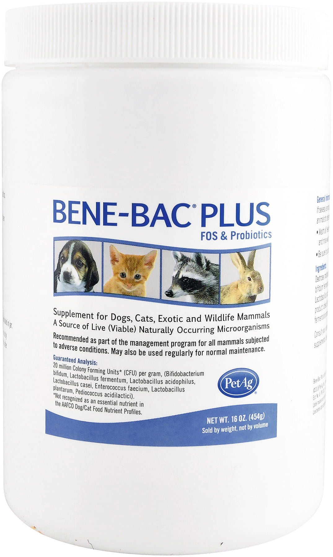 bene-bac plus pdr/sm animal 16 oz