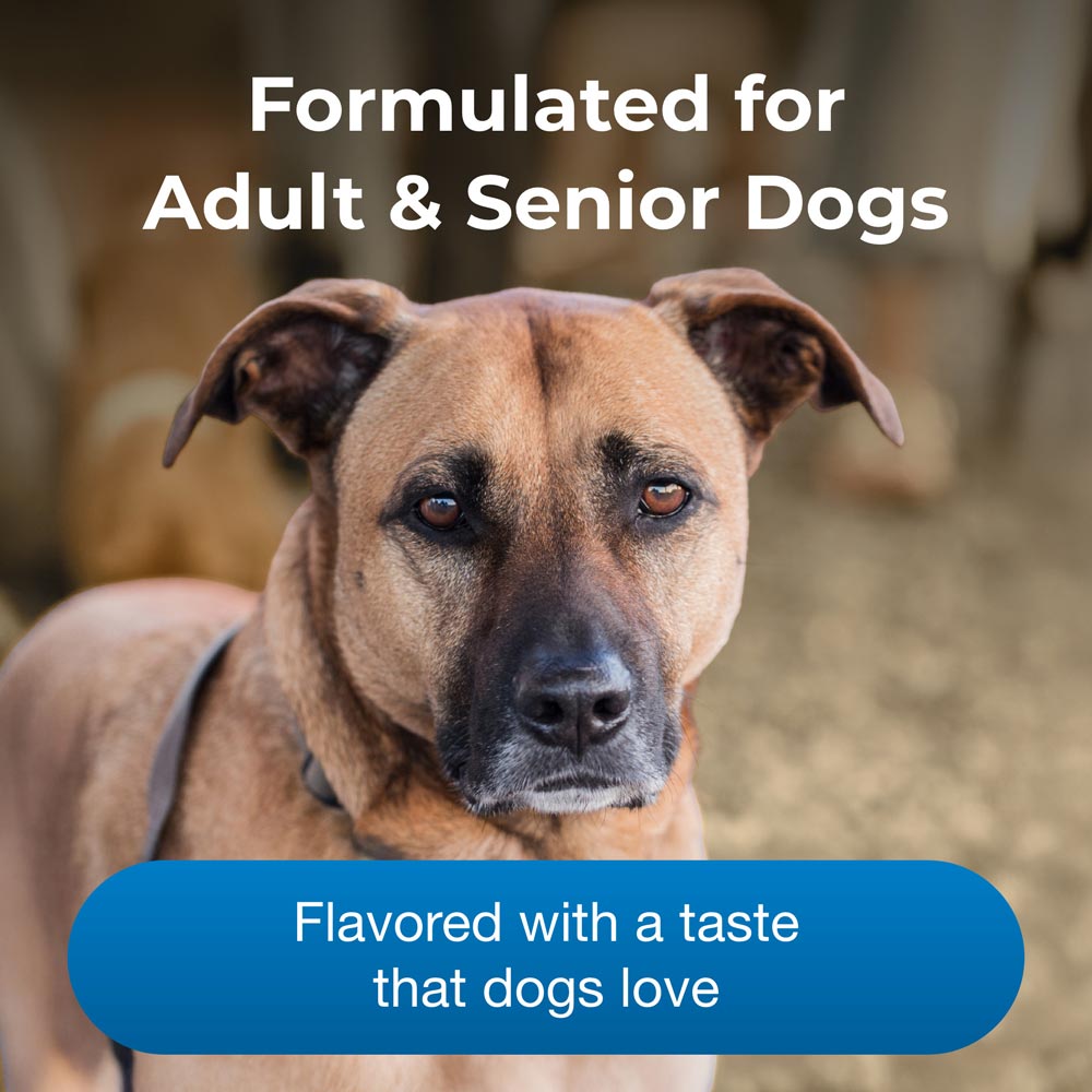 petag esbilac healthy aging powder for adult and senior dogs 14 oz