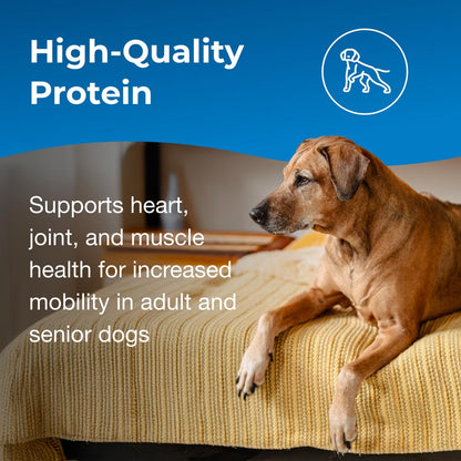 PetAg Esbilac Healthy Aging Powder for Adult and Senior Dogs 14 oz
