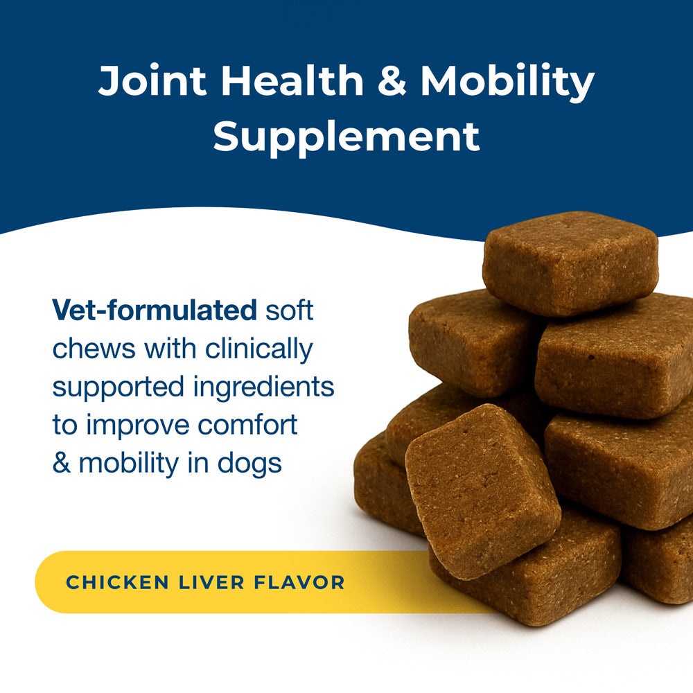 petag dyne soft chews joint health & mobility chicken liver flavored 45 count