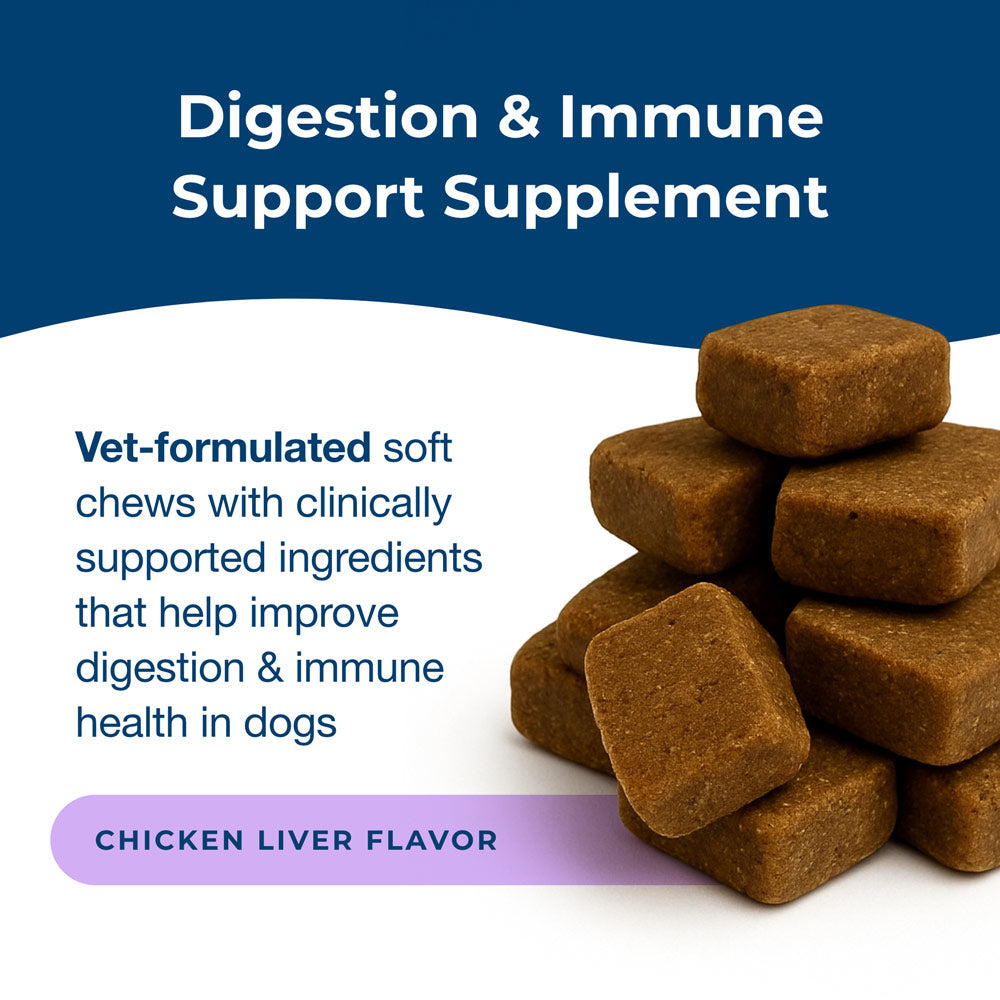 petag dyne soft chews digestion & immune support  chicken liver flavored 60 count