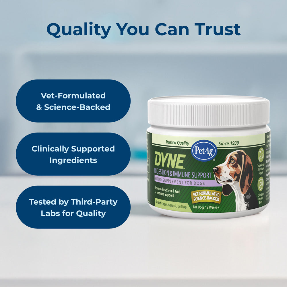 petag dyne soft chews digestion & immune support  chicken liver flavored 60 count