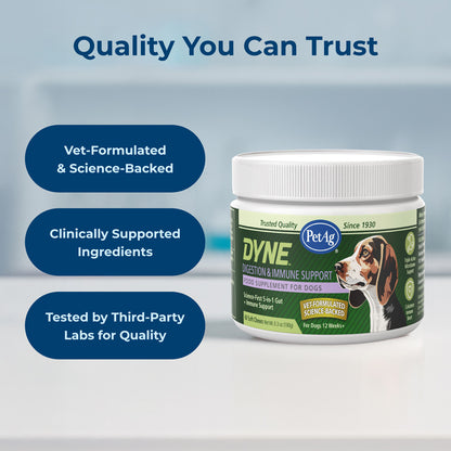PetAg Dyne Soft Chews Digestion & Immune Support  Chicken Liver Flavored 60 Count