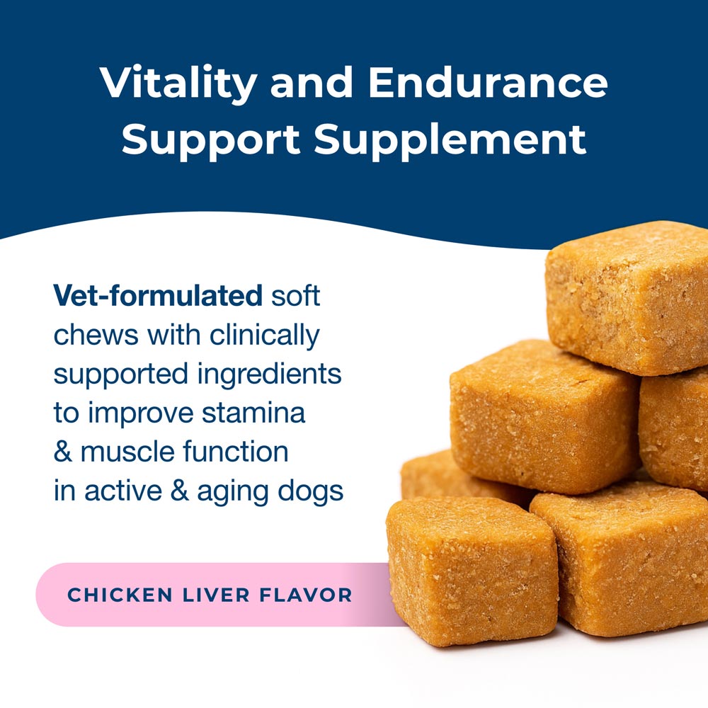 petag dyne soft chews endurance & vitality chicken liver flavored 60 count