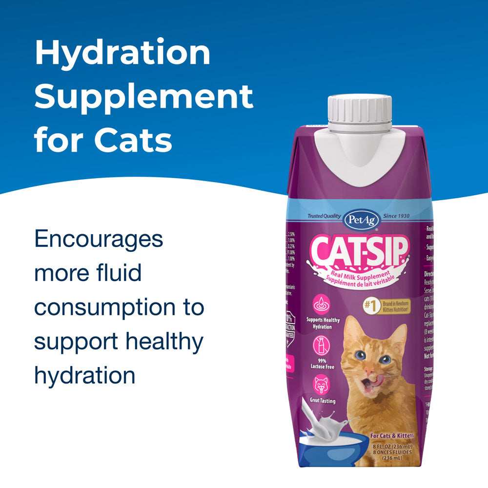 petag cat-sip real real milk treat ready to feed snack for cats - 4 pack