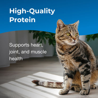 PetAg Healthy Aging Powder for Cats, 14oz,