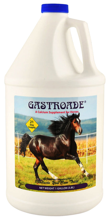 Gastroade Liquid, gallon