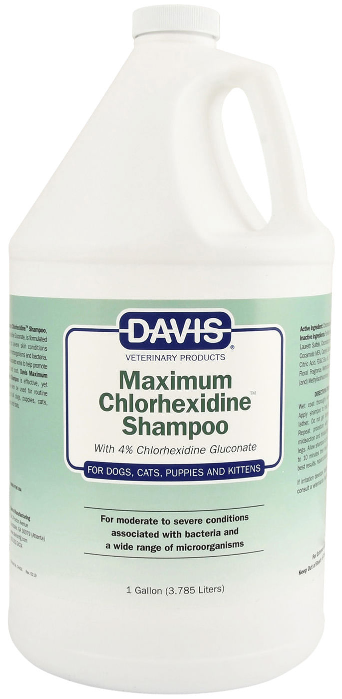 chlorhexidine shampoo 4% gallon