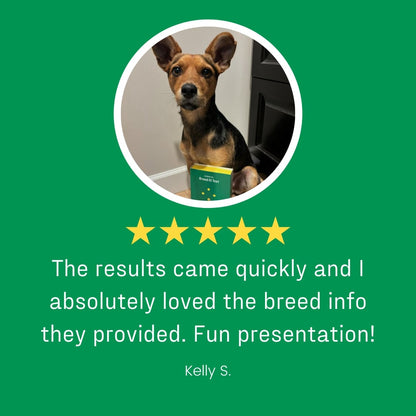 DNA My Dog Essential Breed ID Test