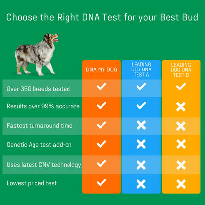 DNA My Dog Essential Breed ID Test