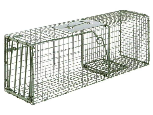 hd medium cage trap
