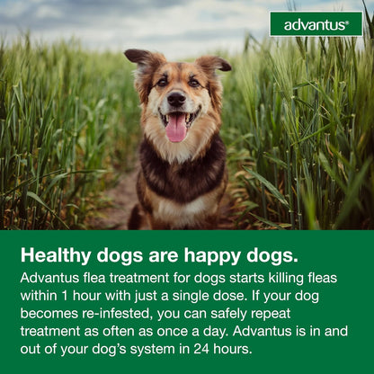 Advantus Soft Chew for Dogs 4-22 lb, 7.5mg, 7 count