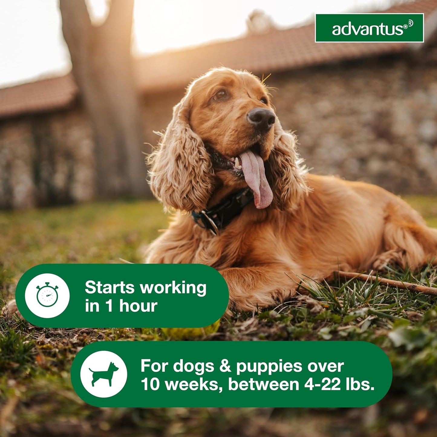 advantus soft chew for dogs 4-22 lb, 7.5mg, 30 count