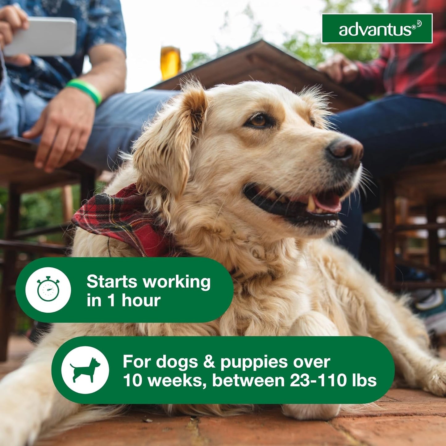 advantus soft chew for dogs 23-110 lb, 37.5mg, 7 count