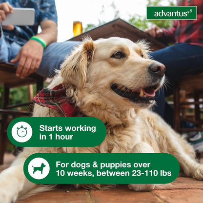 Advantus Soft Chew for Dogs 23-110 lb, 37.5 mg, 30 count