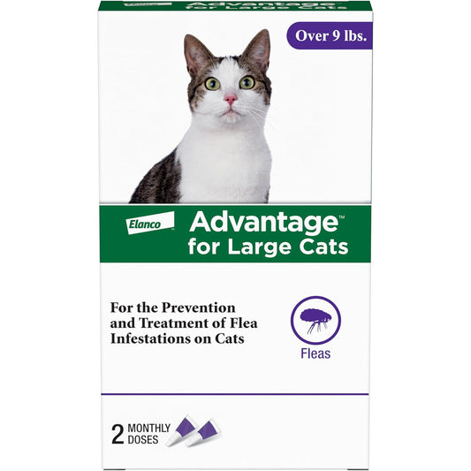 Advantage for Large Cats  2pk