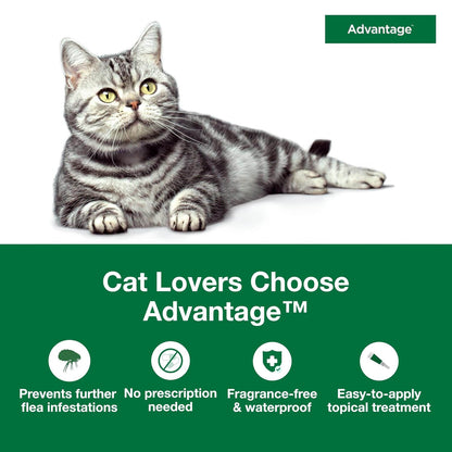 Advantage for Large Cats  2pk