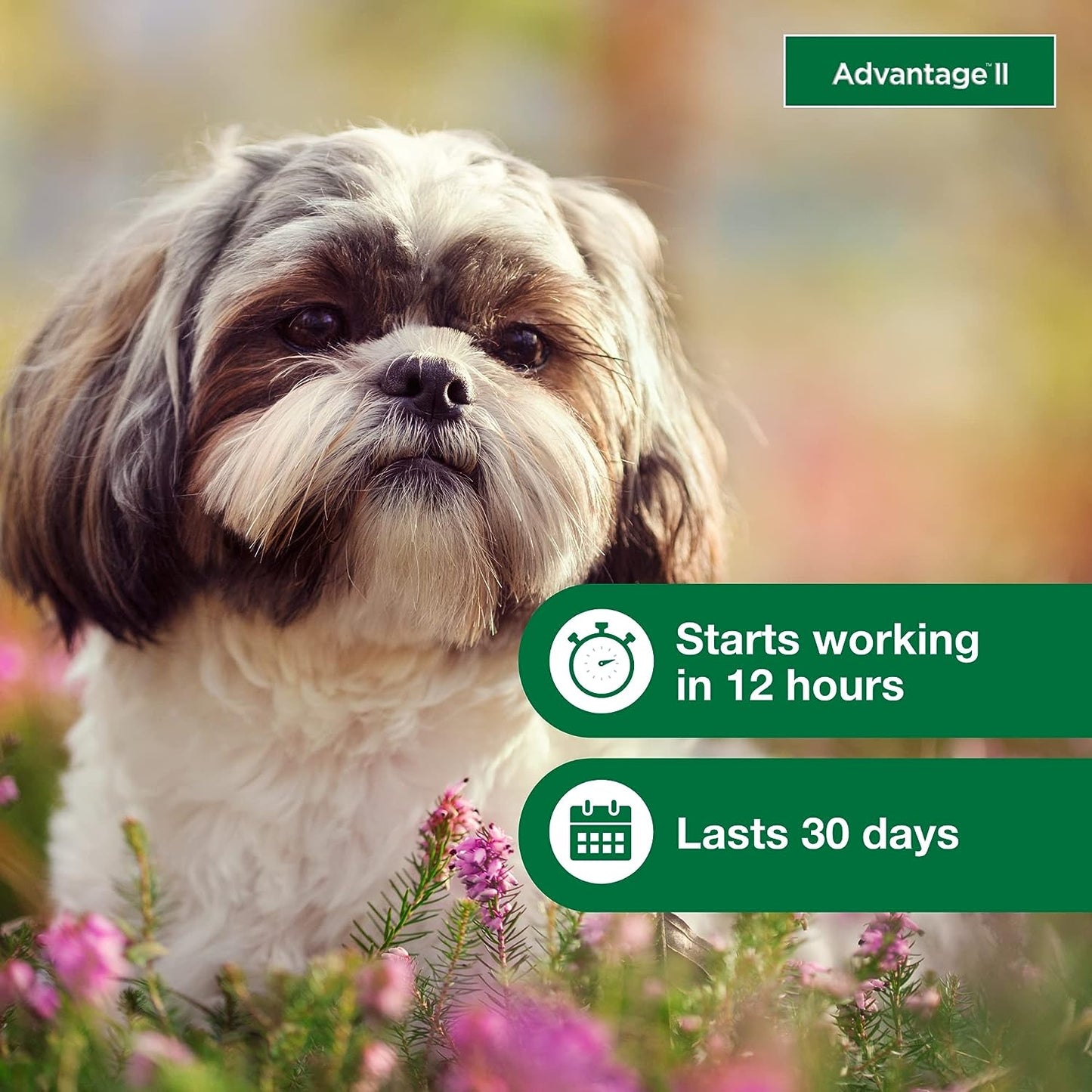 advantage ii dogs 3-10# - 4pk