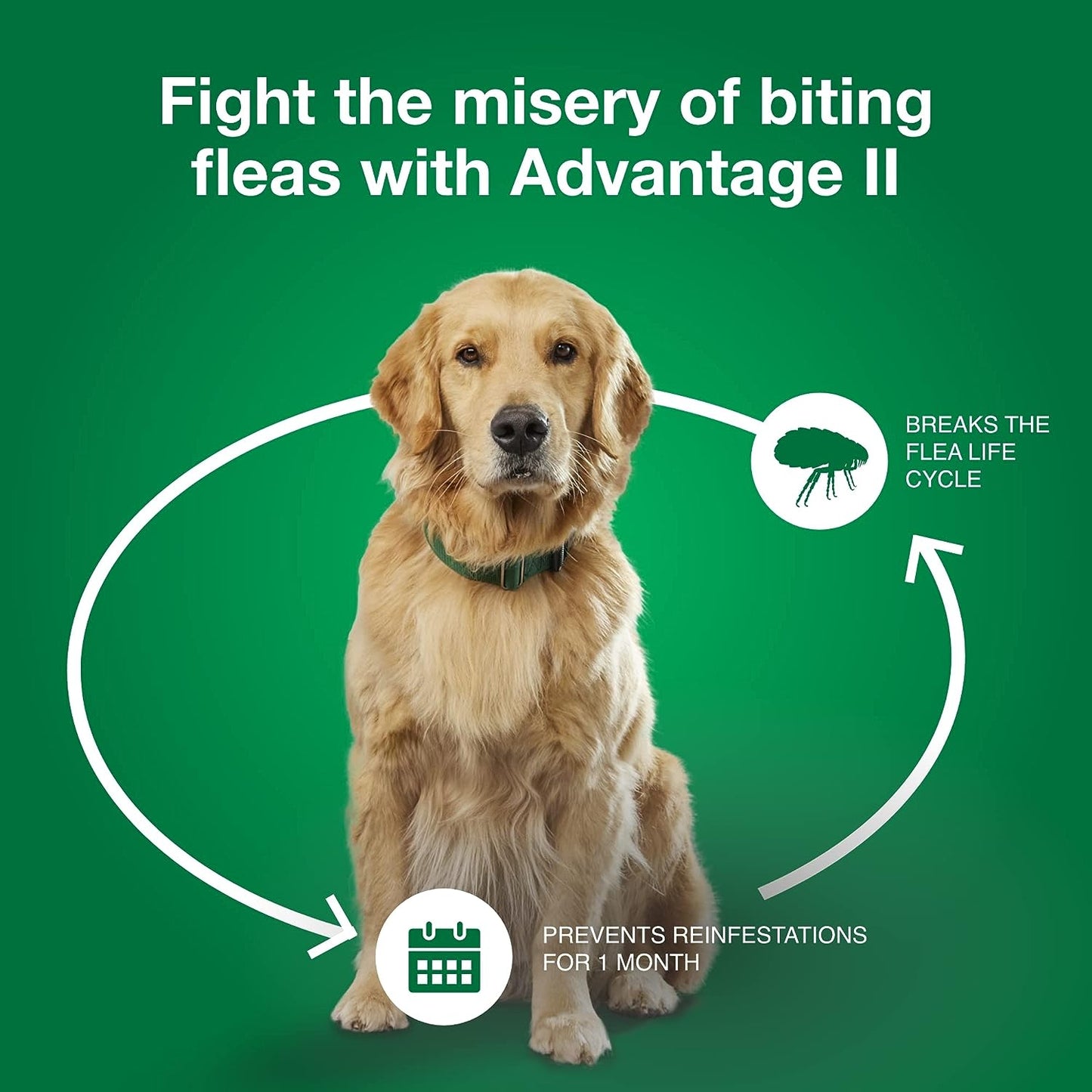 advantage ii dogs 11-20# - 4pk