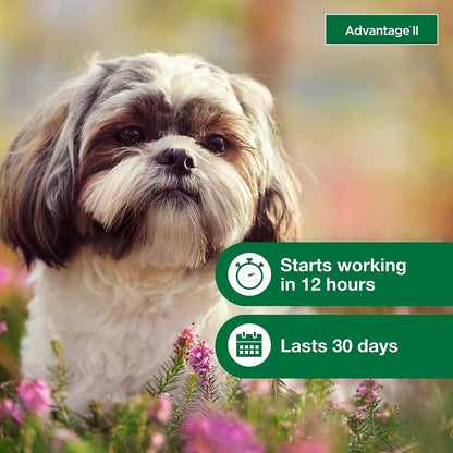 Advantage for Dogs 3-10# - 6pk
