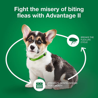 Advantage for Dogs 3-10# - 6pk