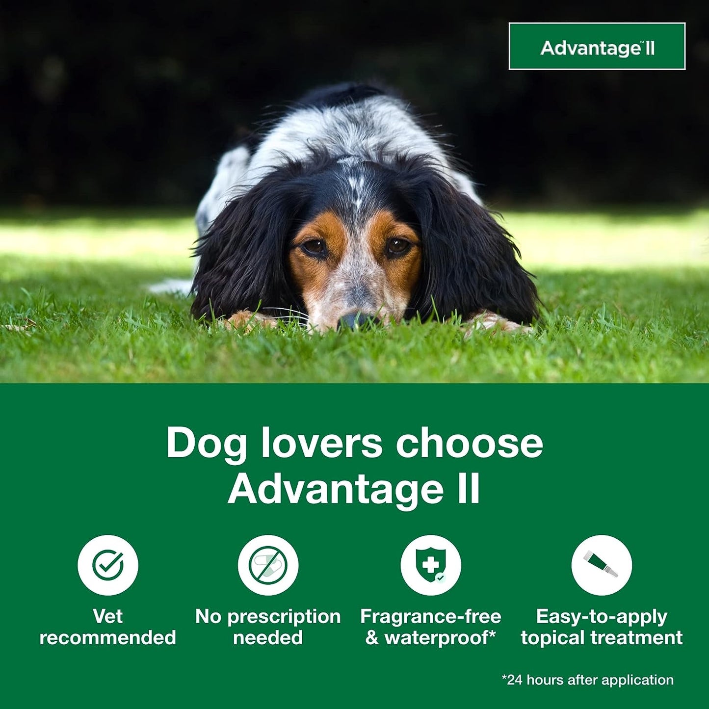 advantage for dogs 11-20lb - 6pk