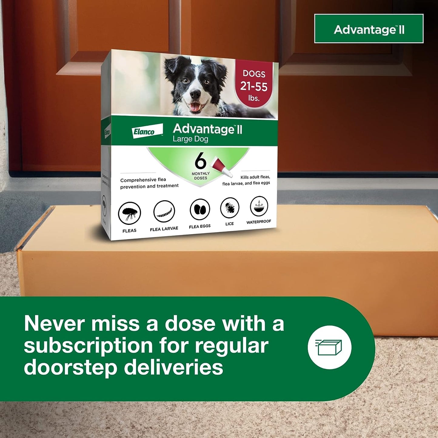 advantage for dogs 21-55lb - 6pk