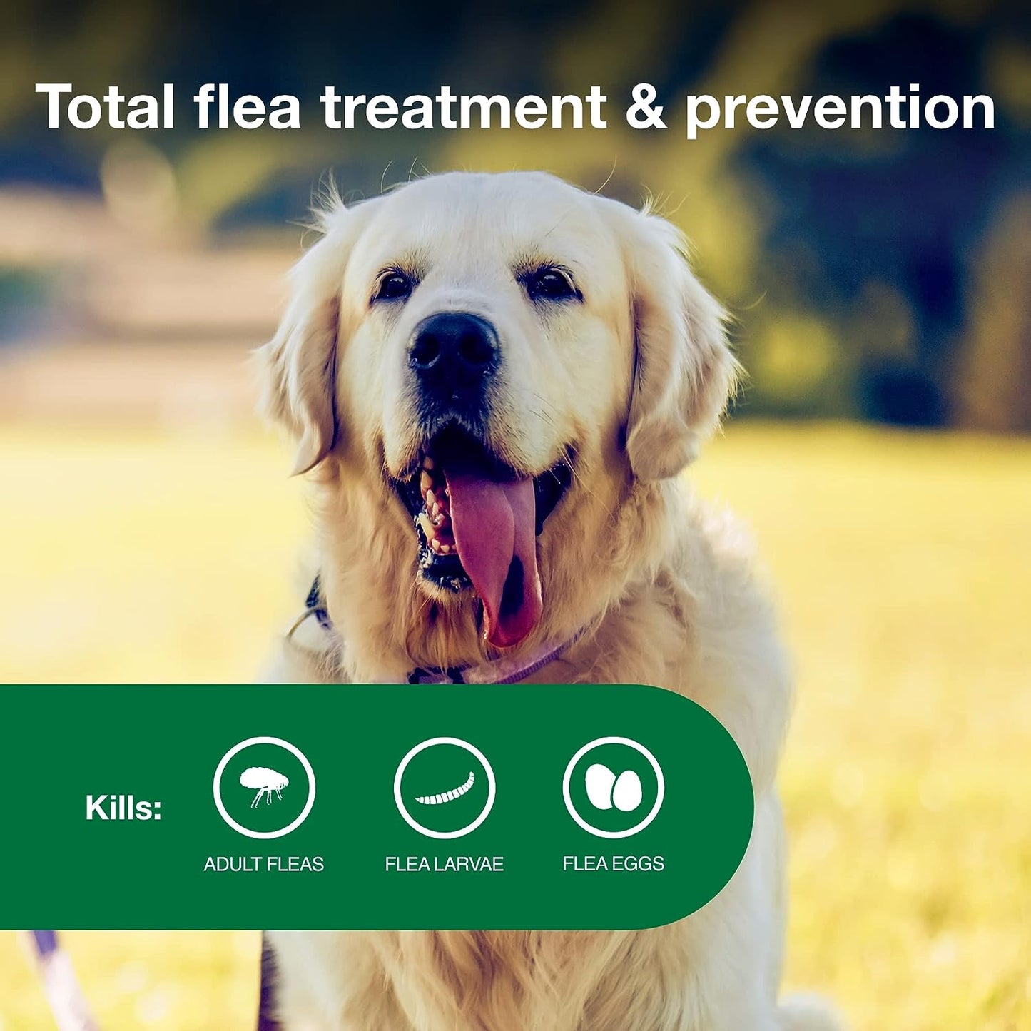 advantage for dogs 21-55lb - 6pk