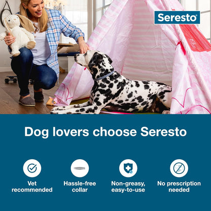 Seresto Flea and Tick Collar | Large Dog