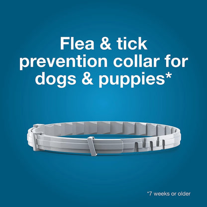 Seresto Flea and Tick Collar | Large Dog