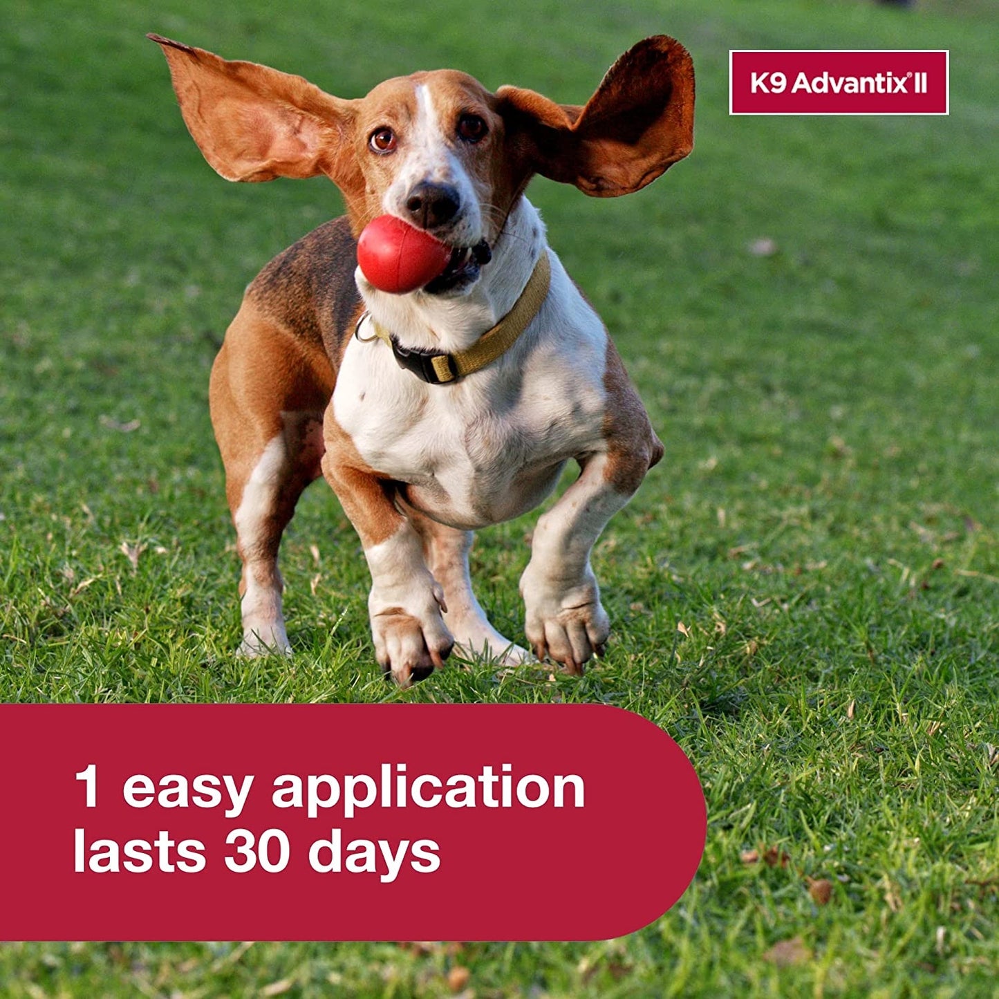 k9 advantix ii, dogs 11-20 lbs, 4 pack