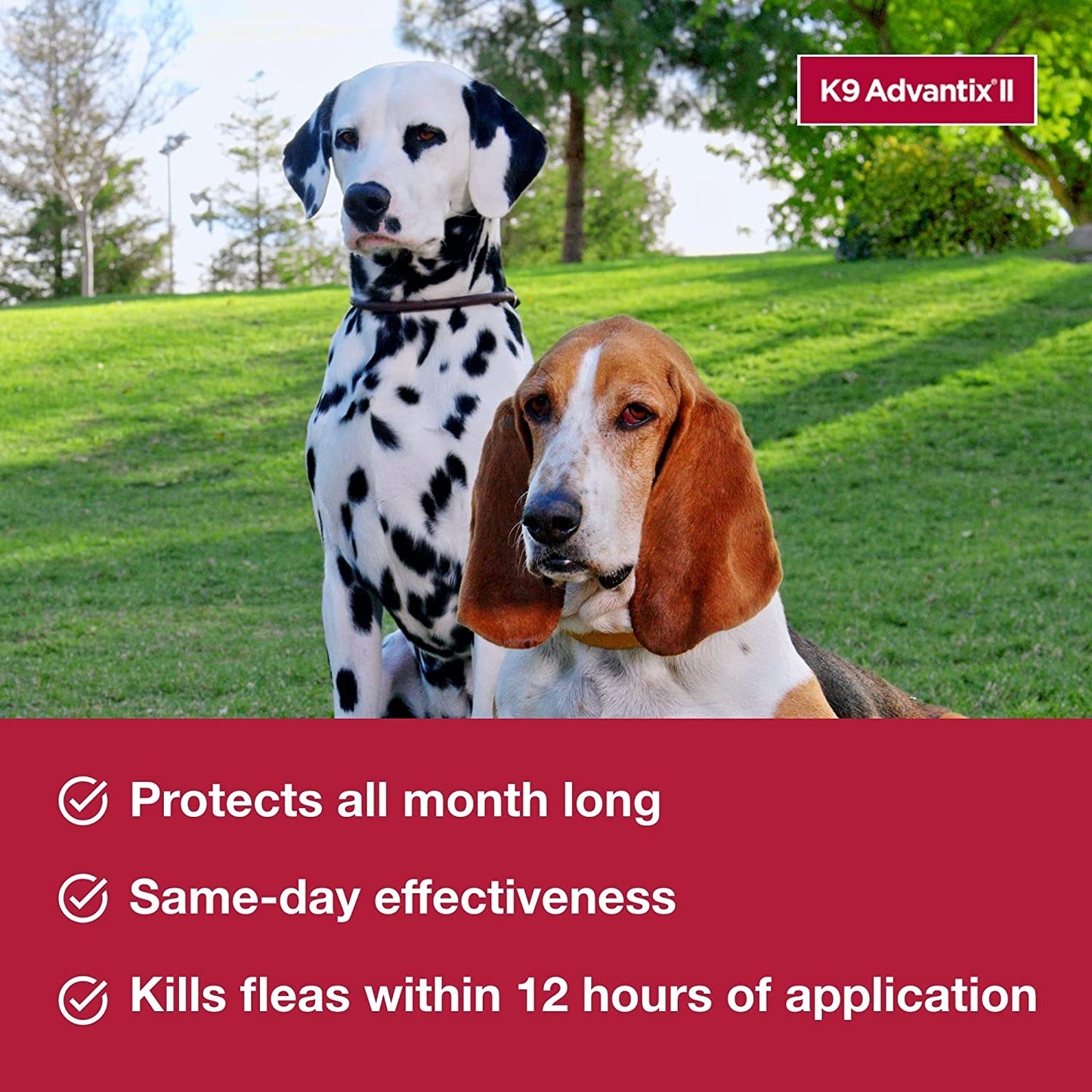 k9 advantix ii, dogs 55 lbs & over, 4 pack
