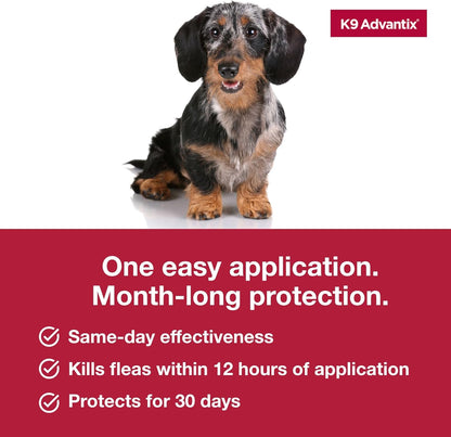 K9 Advantix Small Dog 2pk