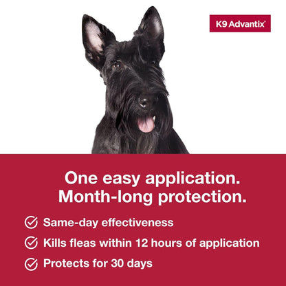 K9 Advantix Medium Dog 2pk