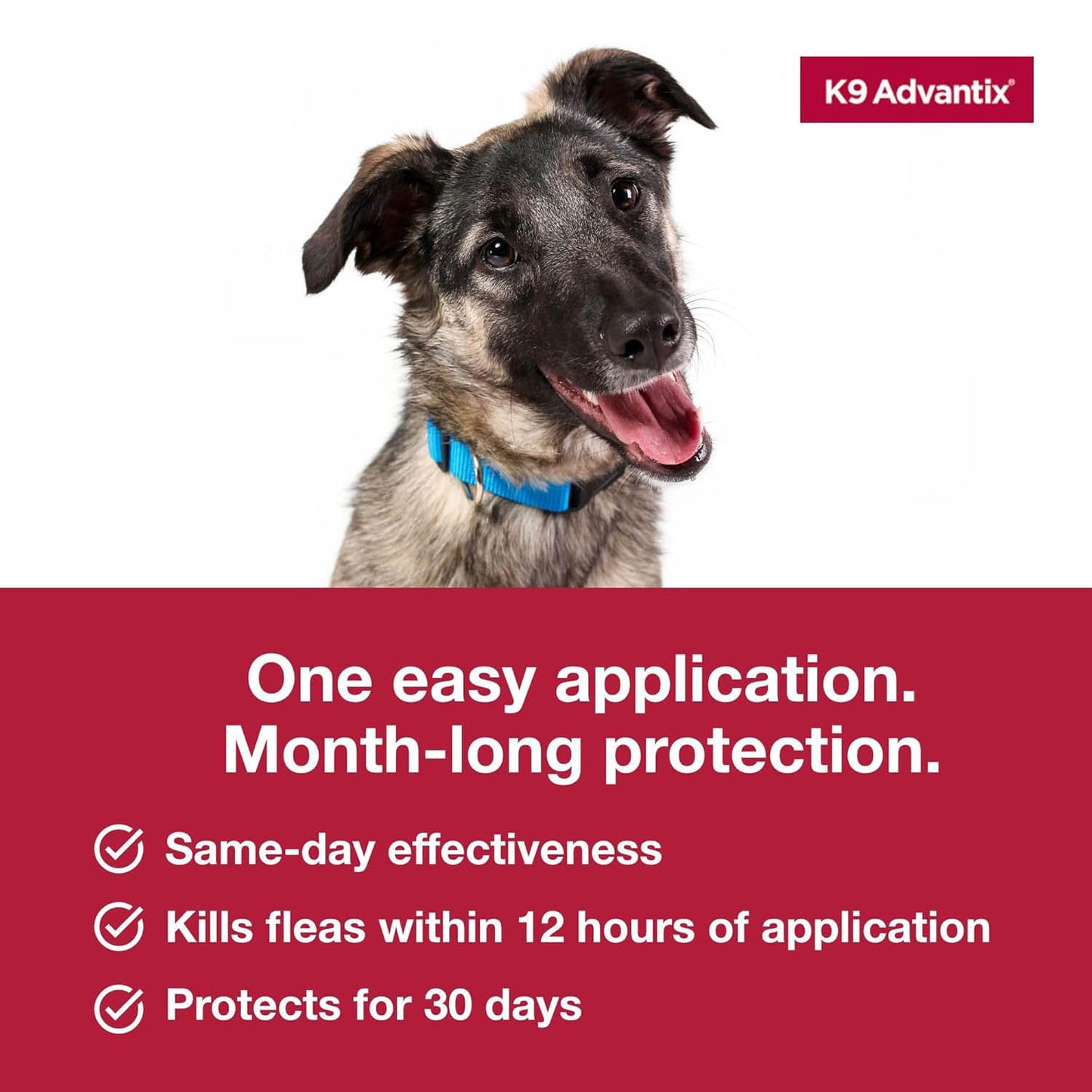 k9 advantix large dog 2pk